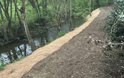 RENATURATION DES BERGES DU RUISSEAU DE VALLIERES