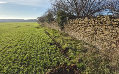 Les murets, refuges discrets